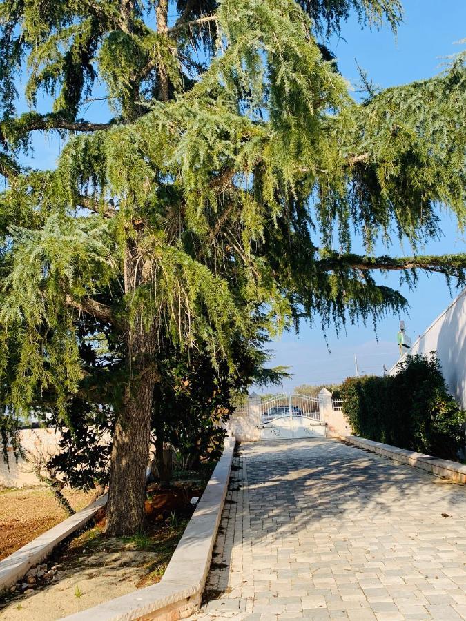 Trullo Labellavita Putignano Bagian luar foto